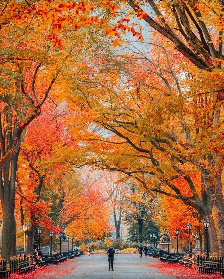 helena_mar19's tweet photo. Beautiful https://t.co/CFp0w8K21h