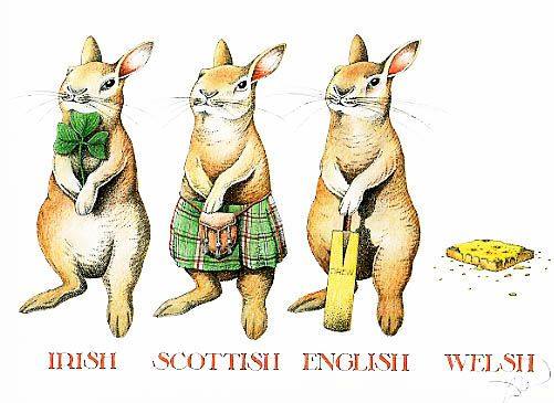 #rabbit #rabbitrabbit #rabbitlife #rabbits #rabbitlove #rabbitlovers #rabbitloversclub #irish #scottish #english #welsh #welshrarebit #cricket #kilt #shamrock #marchmadness #march #marchfirst