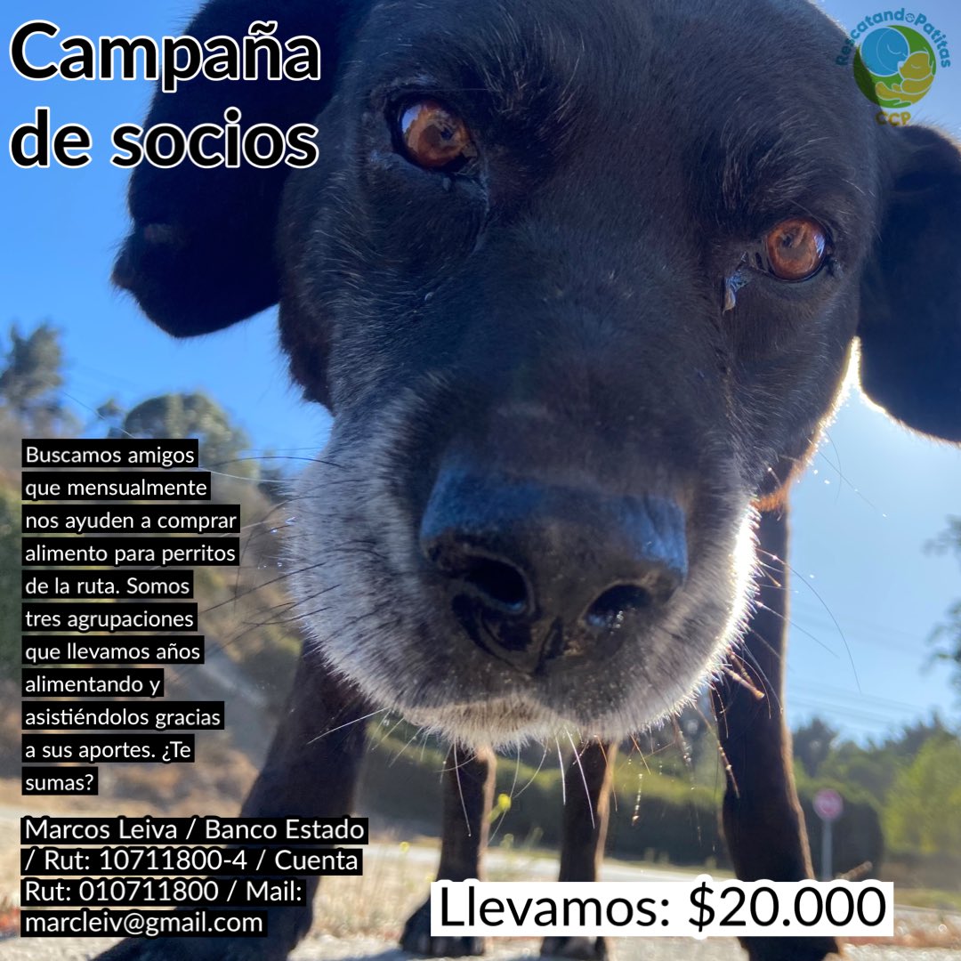 Gracias amigos 🐾🐾