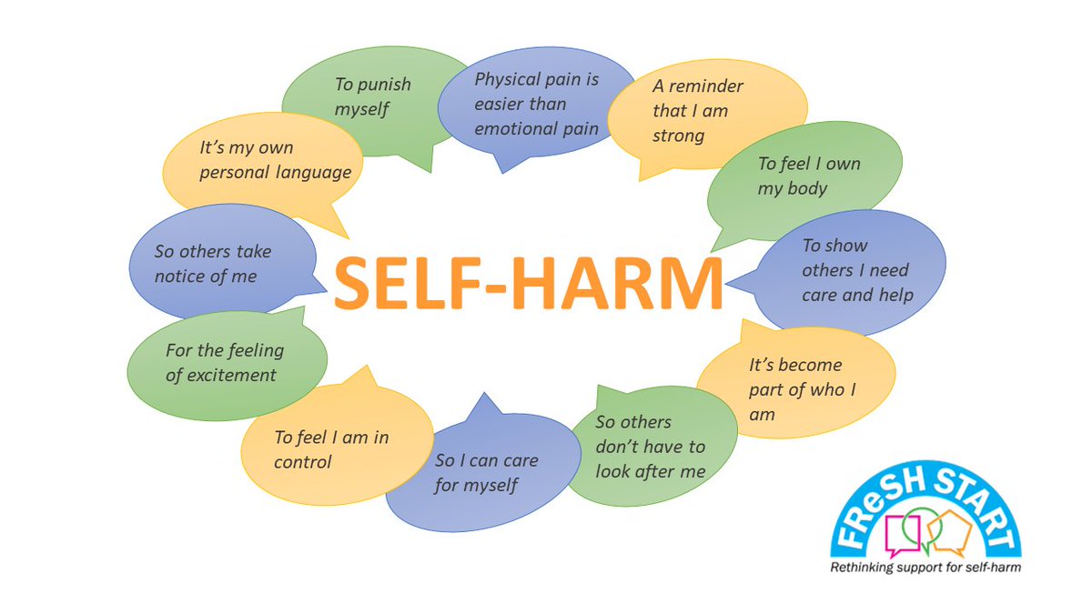 FReSH START tweet media