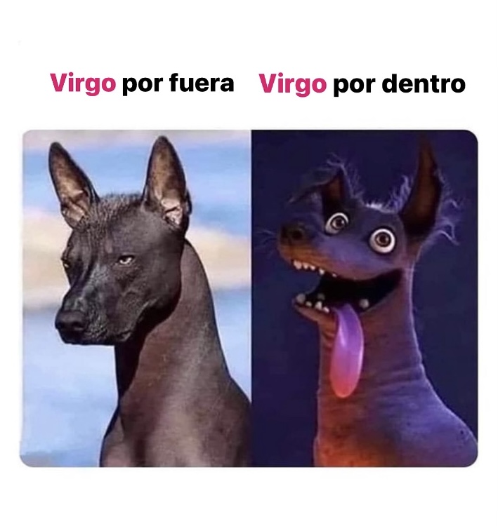 virgo_hn's tweet photo. Puede ser 😂😂 #virgo #horoscoponegro https://t.co/YgSzXQzG6Q