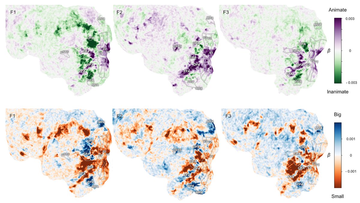 What hypotheses can be tested? THINGSplus (<a href="/StoinskiLaura/">Laura Stoinski</a> psyarxiv.com/exu9f) contains rich metadata about objects, allowing to address a wide range of questions. We demonstrate this potential by replicating seminal findings on object animacy and size on a large scale.
