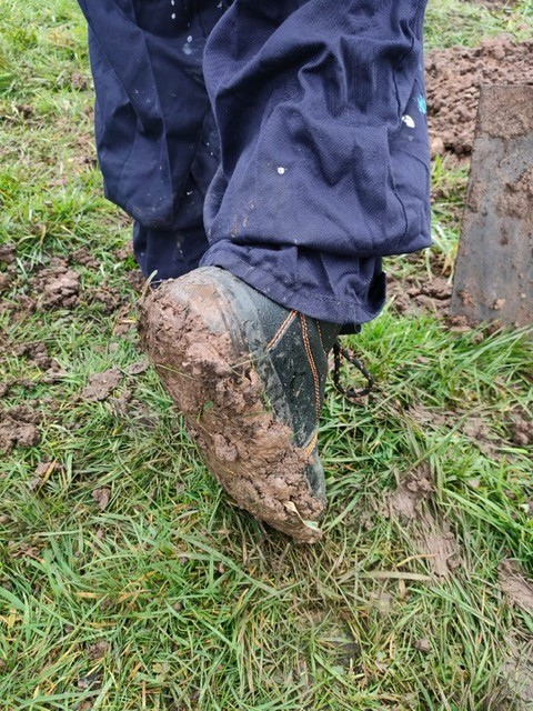 WirralE's tweet photo. Some of the people we support at our Eastham centre have been volunteering to help out clean up @HootonPark recently, doing some excellent work on the lawns and the patios.

#CommunityIntegration #EnrichingLives #DevelopingIndividuals https://t.co/NOur44MJgw