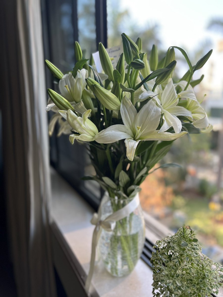 Dipannitasharma's tweet photo. Just got out of a complicated fibroid related surgery.6 hours in the OT. Quite a #lifeevent .Thankful for all the wishes, good vibes &amp; the pampering. Post op recovery is going to take a bit, hoping to be a 100% in a couple of weeks.Thank you all for your continued love &amp; support https://t.co/QyFX89CBzW