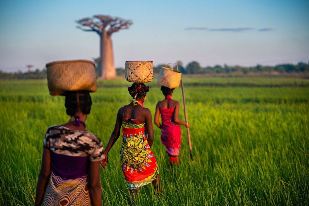 International Women's Day! 
Every woman is unique. To the exceptional person that you are, happy International Women's day 🫶 ! 

📸 ©estebantorom

#MyMadagascar #VisitMadagascar #womensday
