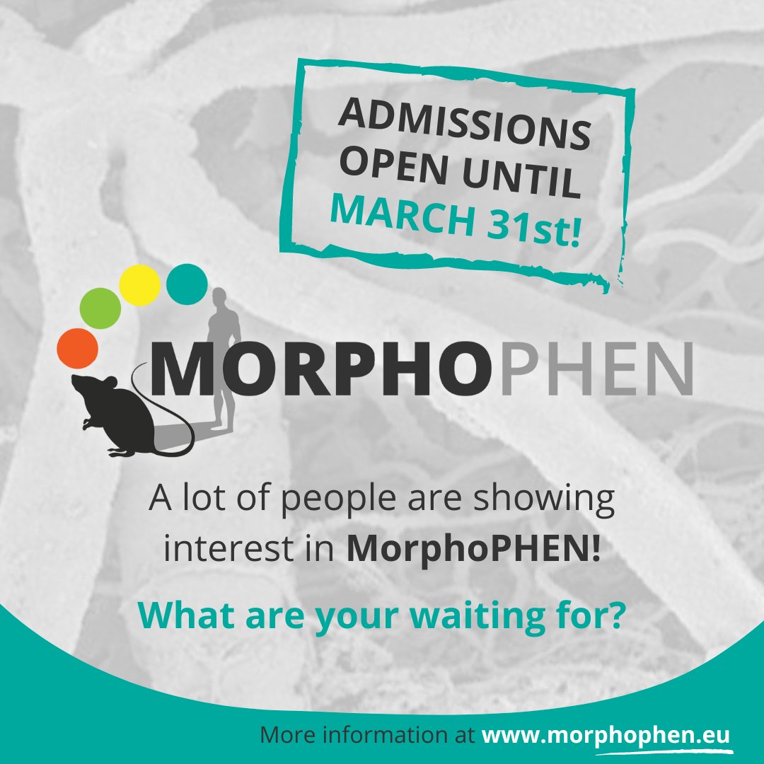 Do you want to leave a mark in human disease reseach?

MorphoPHEN will give you the necessary skills in preclinical biomedicine!

Are you interested? We are waiting for you! Admissions open until March 31st, 2023!

More information at our website!