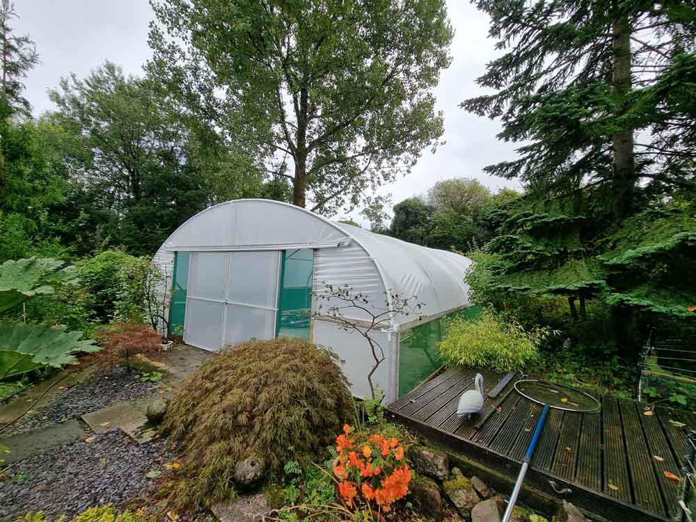 NorthernPolyt's tweet photo. Down at the bottom of the garden, Among the birds and the bees...

Is a refurbished 20ft wide Single Span polytunnel.

Contact us if your commercial polytunnel needs a refurbishment; it's better to fix it than throw it away

#refurbished #reuse #polytunnel #refurbish https://t.co/r952gb4WIt