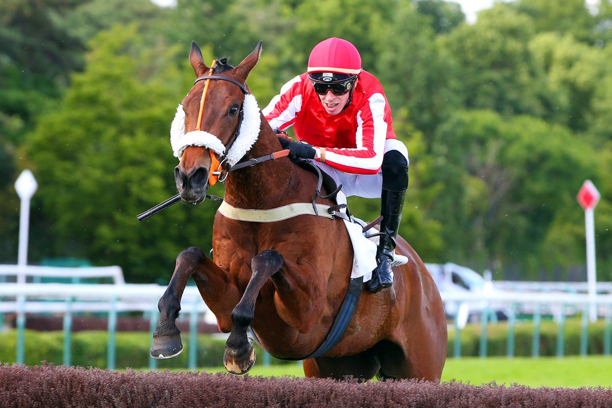 Equidia (@equidia) on Twitter photo 🚨 𝗛𝗲𝗻𝗿𝗶 𝗹𝗲 𝗙𝗮𝗿𝗰𝗲𝘂𝗿 sera au départ avec 𝗚𝗼𝗹𝗱 𝗧𝘄𝗲𝗲𝘁 du Stayer's Hurdle (G1) à <a href="/CheltenhamRaces/">CheltenhamRacecourse</a> le jeudi 16 mars 2023 ! 🇫🇷
👉🏼 Pensez-vous que nos petits Français puissent créer l'exploit en Angleterre ? 🇬🇧 🤔
#CheltenhamFestival 🚨 𝗛𝗲𝗻𝗿𝗶 𝗹𝗲 𝗙𝗮𝗿𝗰𝗲𝘂𝗿 sera au départ avec 𝗚𝗼𝗹𝗱 𝗧𝘄𝗲𝗲𝘁 du Stayer's Hurdle (G1) à <a href="/CheltenhamRaces/">CheltenhamRacecourse</a> le jeudi 16 mars 2023 ! 🇫🇷
👉🏼 Pensez-vous que nos petits Français puissent créer l'exploit en Angleterre ? 🇬🇧 🤔
#CheltenhamFestival