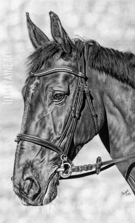 TeresaJPayne333's tweet photo. Latest drawing.  Done with charcoal, colored pencil, and white ink.  8" X 13"

Original artwork and prints available at https://t.co/qoobzgt0S9 #art #ArtistOnTwitter  #artist #artwork #charcoal #charcoaldrawing #realism #hyperrealism #horse #animalportrait https://t.co/nhxnnqMdCp