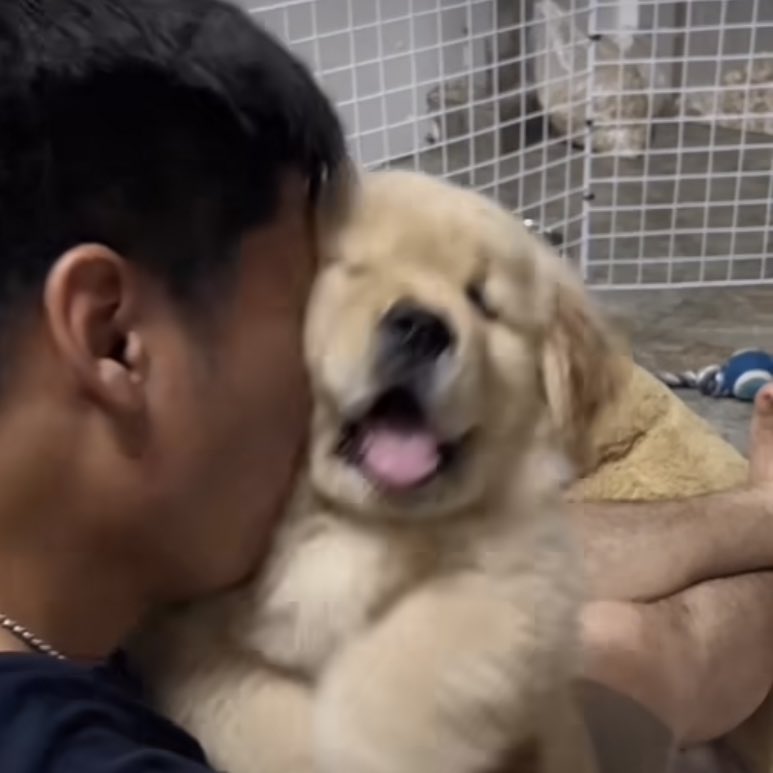 ไม่รุ้เรื่องอะไรทั้งนั้น นั่งแลบลิ้นไปวันๆ