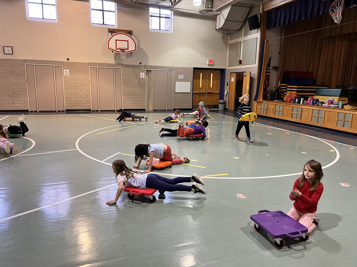 djaymickle's tweet photo. @LMTSD_PRES Pine Road students in grades K-2 have been having a great time learning about upper body strength by using scooters to pretend they are swimming in the ocean! And…Mrs. Stellander really loves the Little Mermaid 🧜‍♀️ https://t.co/lOVz9Lbm07