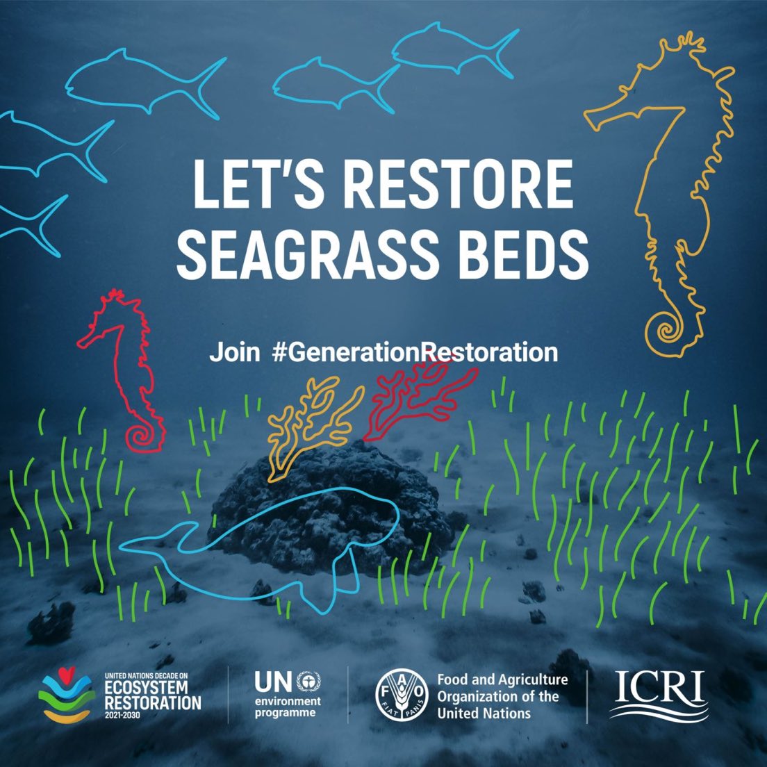 Seagrass is a #climatechampion but continues to face decline with over 30% lost since 1970 📉

ICRI is a proud supporting partner of the @UN Decade on Ecosystem Restoration for #GenerationRestoration, taking action #ForCoral, mangroves & seagrass 🌊

#WorldSeagrassDay