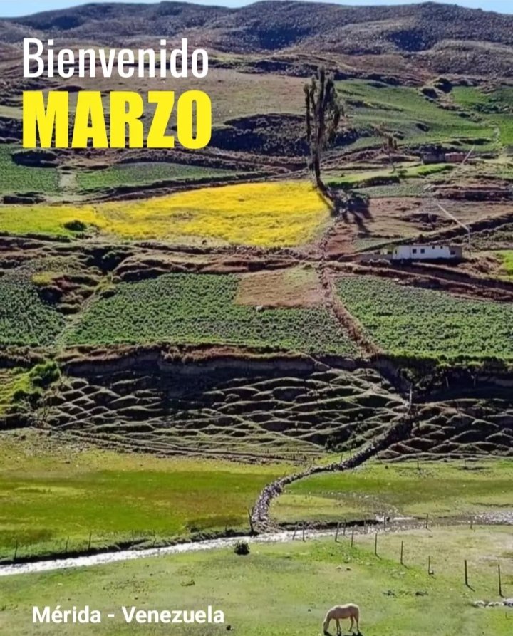 CYM_MeridaCA's tweet photo. #Gavidia #Paramo los Andes Mérida Venezuela.
📸 @relindavenezuela
#Canterasymarmolesmerida #Gavidia #Paramo #losandes #Mérida #meridavenezuela #enmérida #meridavende https://t.co/ysG4F2lgJr