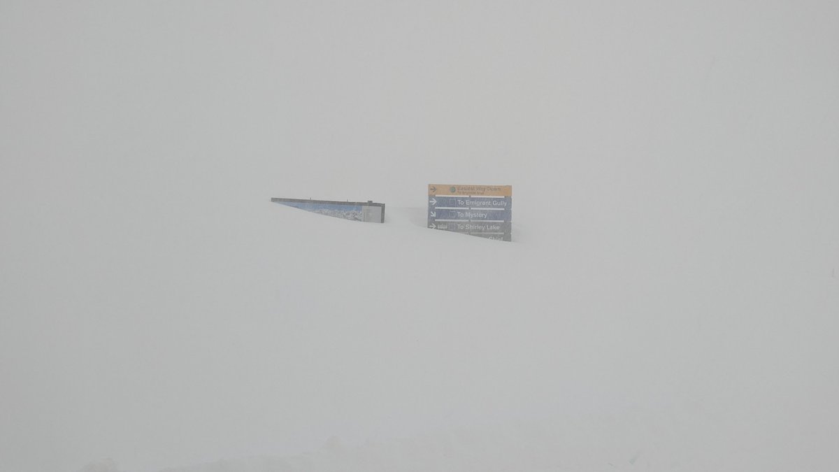 palisadesops's tweet photo. We'll share information about operations today as soon as we have it available. While we wait here's a photo from the top of the Gold Coast lift last night. Photo by Nick McMahon. #palisadesops https://t.co/BmpYykPcG5