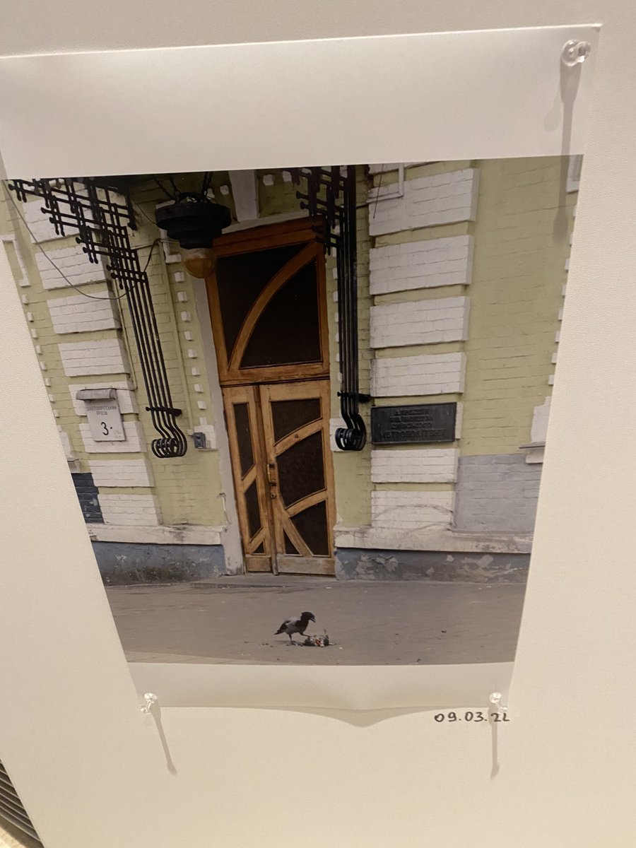 institutpfl's tweet photo. the evening before the fullscale 🇷🇺#rasputitsa invasion in #ukraine
#finissage #exhibition #YevgeniaBelorusets #kyiv Nebenan/close by #wardiary nothing to add the crow & the pigeon #FullScaleFreedom #SlavaUkraïni @BernhardDaldrup #ChristinsWeiss @ScheringStiftg #KristinaVolke https://t.co/XwTT4GSa20