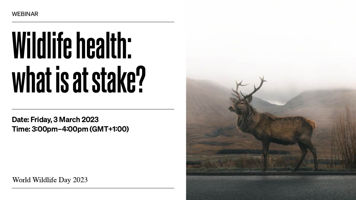 When wildlife is threatened, #EveryonesHealth is at risk.

This is why partnerships are essential for biodiversity: they allow us to work together to maximise our efforts.

Join the @WOAH #WWD2023 webinar this Friday to find out more.