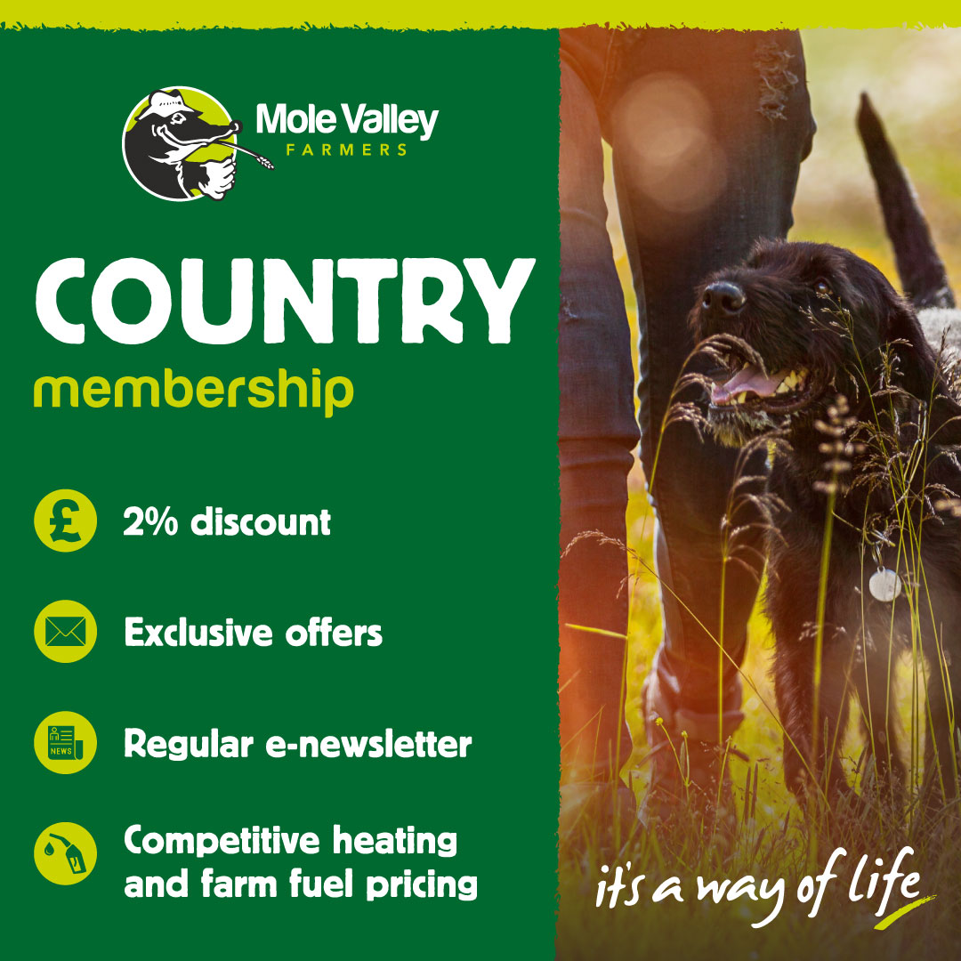Sign up for our Country Membership 😄 For just £10, you can become a Country Member today 👉 moleonline.com/signuptoday