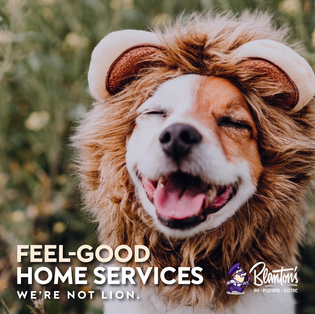 blantonsair's tweet photo. Take PRIDE in your home with top-quality home solutions from Blanton’s. You are our MANE priority and we will keep your systems running to help make your home safe & comfortable. Happy customers choose Blanton’s Air, Plumbing & Electric. We’re not LION. 🦁 #MarchinLikeaLion https://t.co/9HBC5nmham