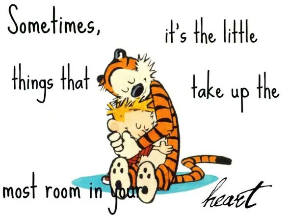 Hugs are always a good thing. 😊 #CalvinandHobbes