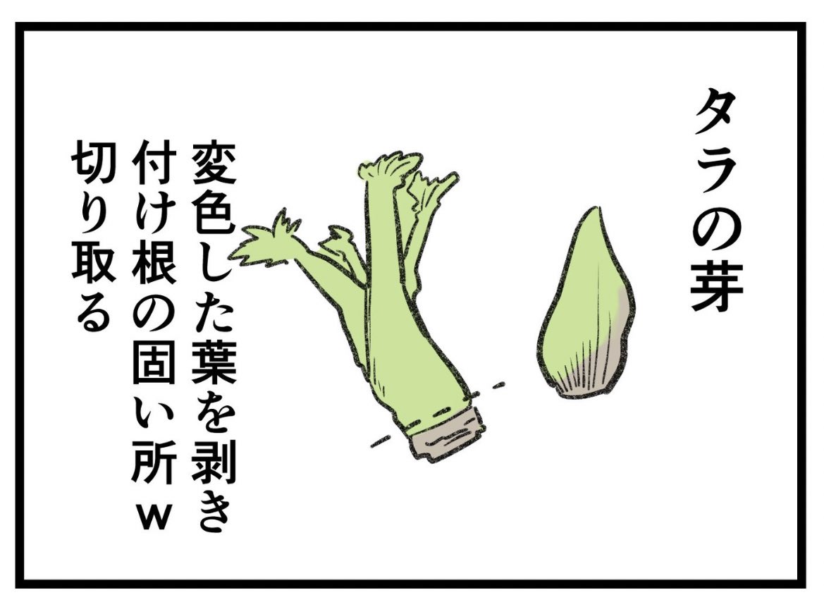 タラの芽の説明誤字っちゃった。
「付け根の固い所を」です! 