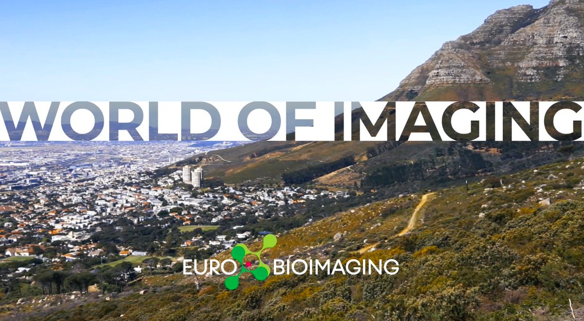 EuroBioImaging's tweet photo. At #EuroBioImaging we are interested in how open access &amp; open science are being developed globally🌍. Here’s a nice story from @Solv31g &amp; @jeriksso1  about how open access to #imaging is evolving in Africa via @AMI_microscopy ⤵️
https://t.co/flaVPmao6m https://t.co/4oQhL2cpFo