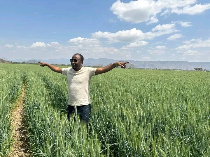 ShewaNorth's tweet photo. የበጋ መስኖ ስንዴ ልማት በአንፆኪያ ገምዛ ወረዳ ሀገረማርያም ሟጨራ ቀበሌ https://t.co/p8IZqTLxN6