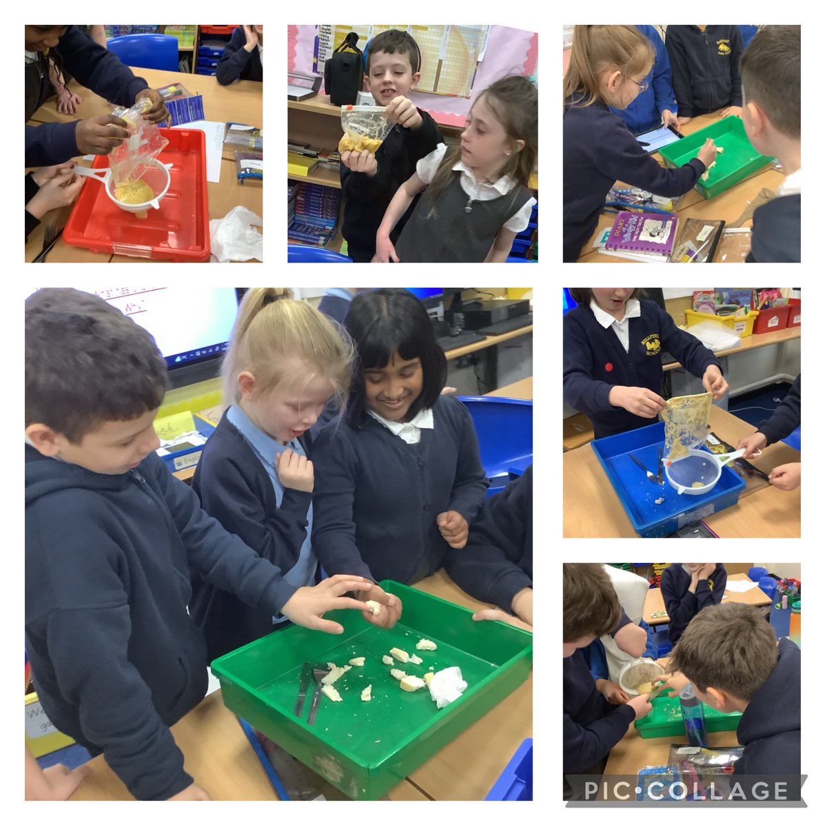 BellfieldJunior's tweet photo. Year 4 enjoying a very active Science lesson, learning all about the Human Digestive System! 🍉🥔🍳🥛
#bjsscience https://t.co/WUkfkv4lEV