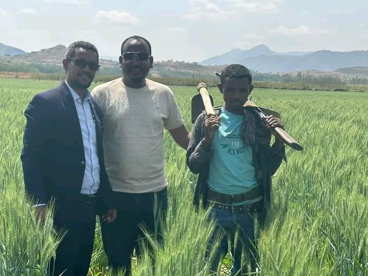 ShewaNorth's tweet photo. የበጋ መስኖ ስንዴ ልማት በአንፆኪያ ገምዛ ወረዳ ሀገረማርያም ሟጨራ ቀበሌ https://t.co/p8IZqTLxN6