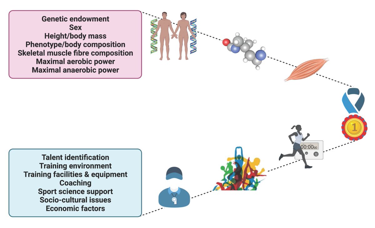 Authors from @biozentrum and @ACUmedia #review the mechanisms involved in human #exercise adaptation and discuss training strategies and innate genetic predispositions:

ow.ly/q7bQ50N3VmH

#ArticlesInPress #SkeletalMuscle #athlete

@regula_furrer @JohnAHawley @c_handschin