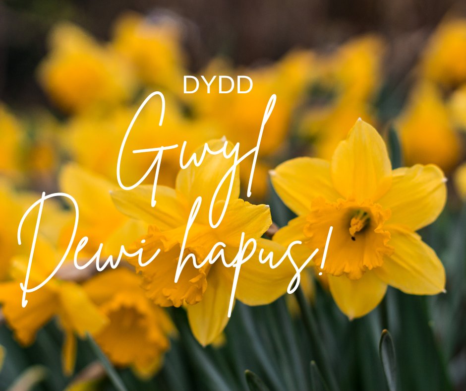 steddfod's tweet photo. Dydd Gwyl Dewi hapus iawn i chi gyd! 🏴󠁧󠁢󠁷󠁬󠁳󠁿  Gwnewch y pethau bychain...drwy nodi fod #Eisteddfod Flynyddol Pandy Tudur ymlaen 10 Ebrill am 12yp yng Nghanolfan Addysg Bro Cernyw, Llangernyw  Manylion i ddilyn.  Edrychwn ymlaen i'ch croesawu eto eleni. https://t.co/Ud4e1ypKV8