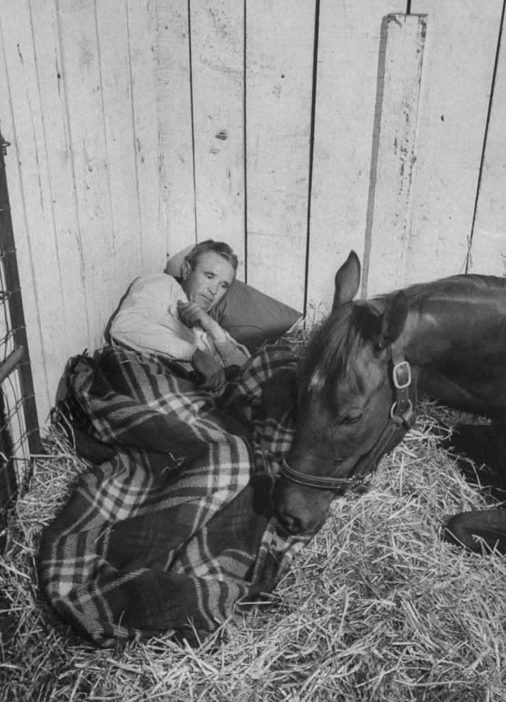 Happy Birthday to our 1955 Kentucky Derby winner and 1956 United States Horse of the Year SWAPS (March 1, 1952 – November 3, 1972)
Photo:  Trainer Mesh Tenney, unwilling to pay for a Louisville hotel, bedding down with his horse Swaps during the days prior to the 1955 Kentucky🌹