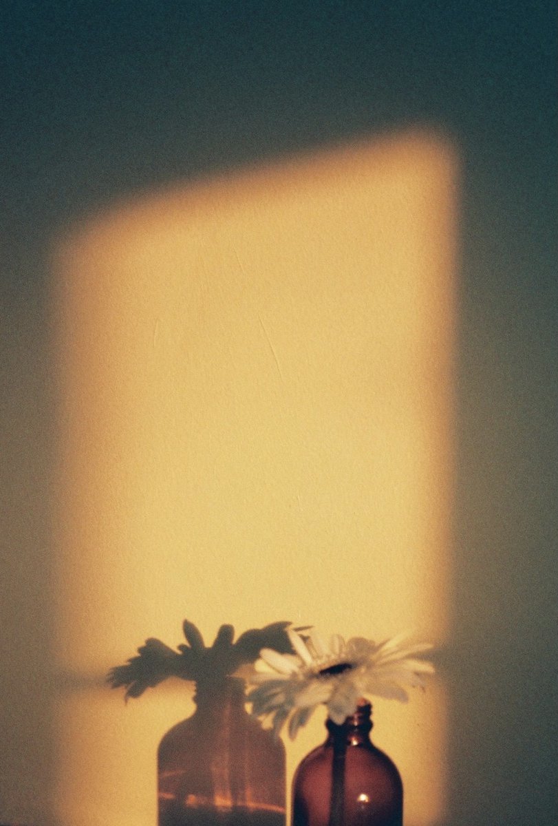 AnaStardust_art's tweet image. &apos;Almost Sunset&apos;
@cybergeek_ 

&apos;#girlsgang&apos;
@SandraFantova