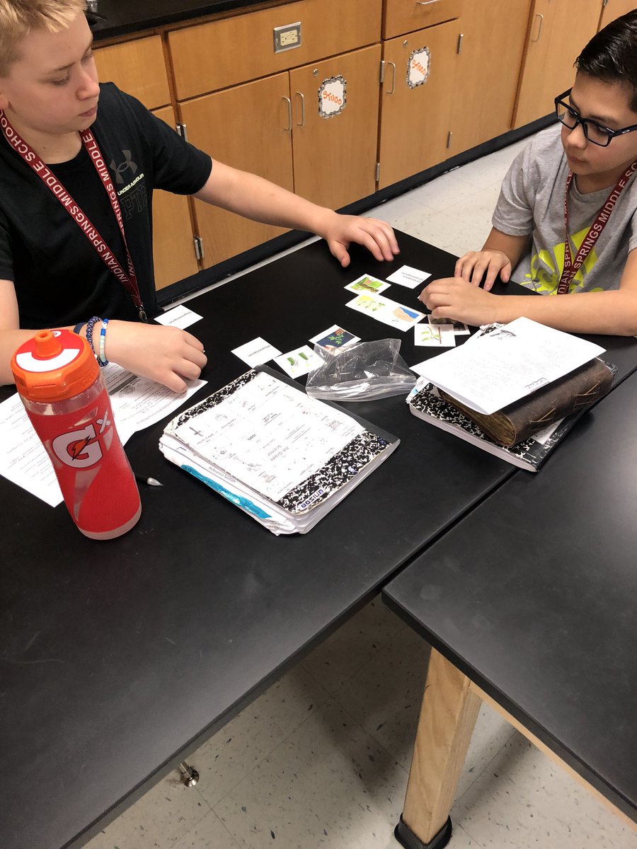 Diana Mitchell tweet media