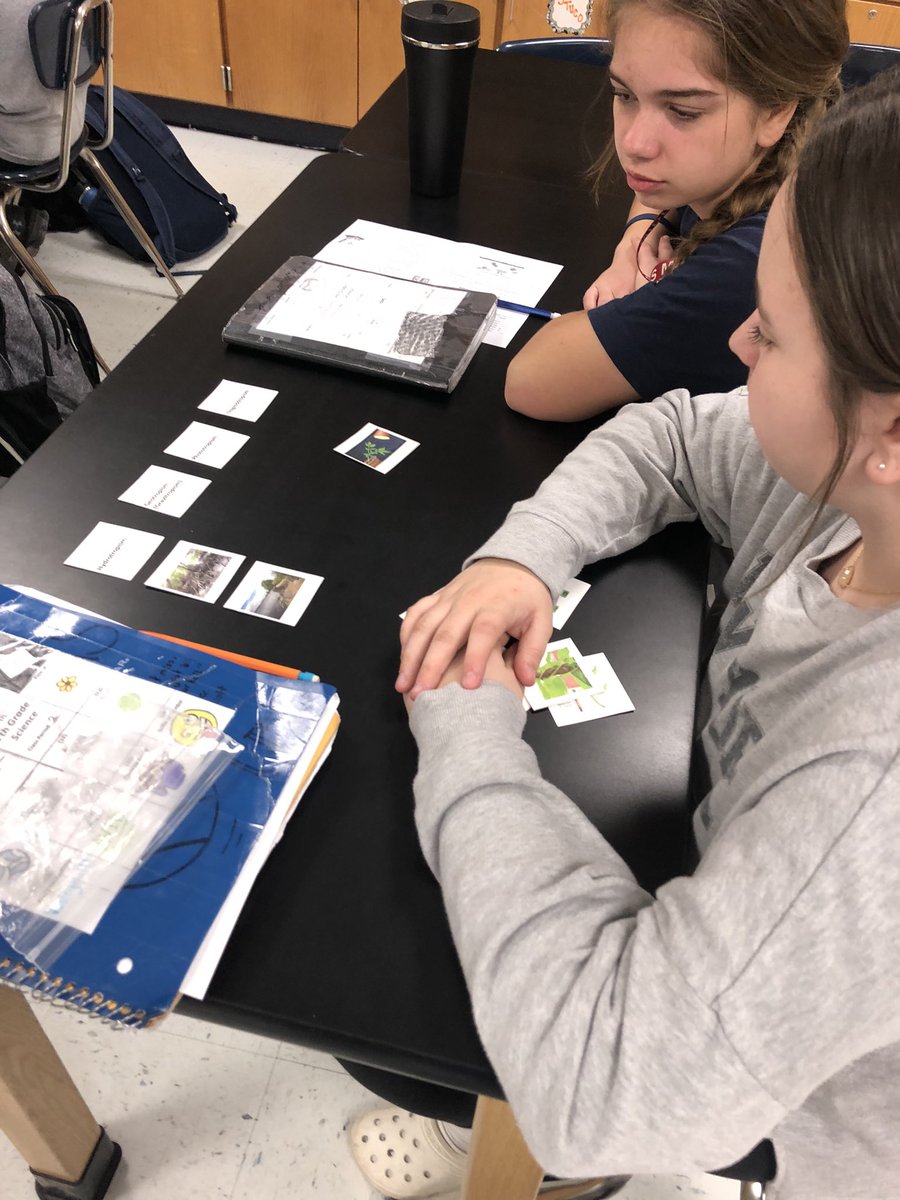 Diana Mitchell tweet media