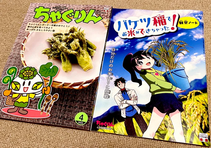 ちゃぐりん最新4月号発売中!なんと今月は別冊付録の漫画も担当しました!おとなしい女の子、穂乃果ちゃんが、JAの水樹お兄さんと共にバケツ稲作りに挑戦するお話です。コラムも充実した保存版の1冊となってます!#ちゃぐりんあぐりスクール 