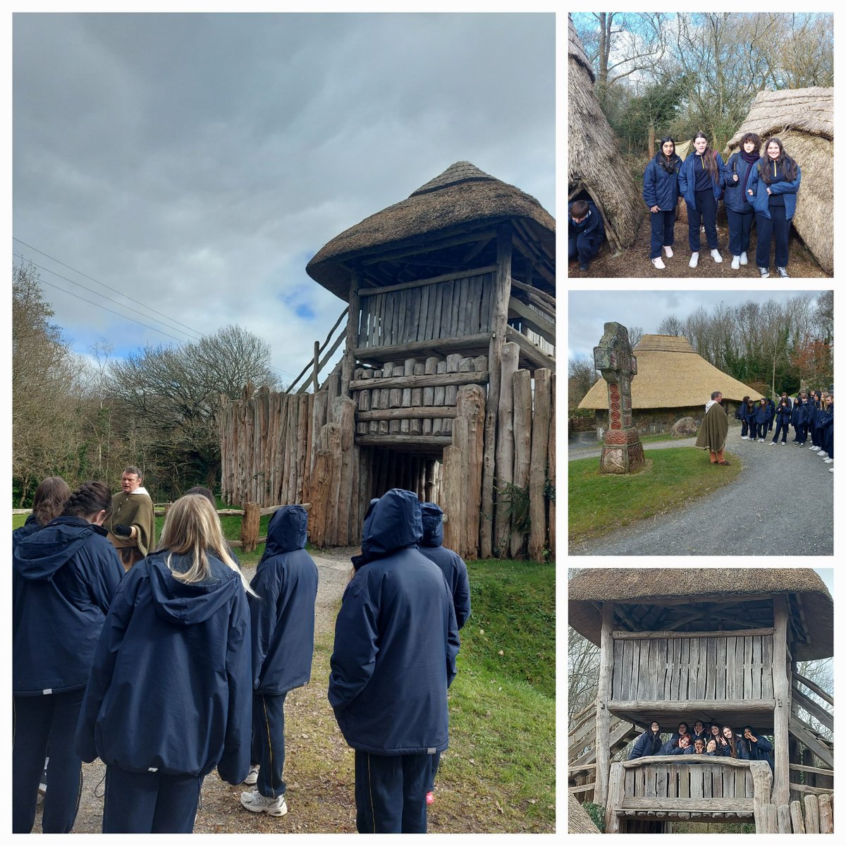 Michelle A Murphy tweet media