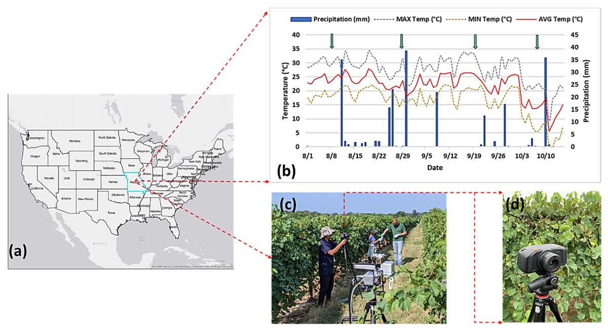 Sensors_MDPI's tweet photo. #highlycitedpaper
Early Detection of Plant Viral Disease Using Hyperspectral Imaging and Deep Learning
https://t.co/6CvXe9Wz7U
@SLU_Official
@Mizzou
@penn_state
#plantdisease #spectralstatistics #machinelearning #2DCNN #3DCNN https://t.co/NuV3inN5rH