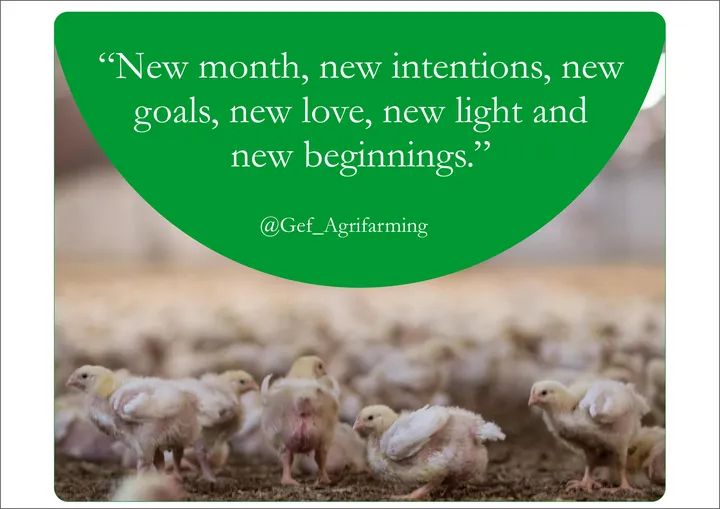 GAgrifarming's tweet photo. Happy new month 🎊, great memories are coming this month! https://t.co/15PoPDsOcG