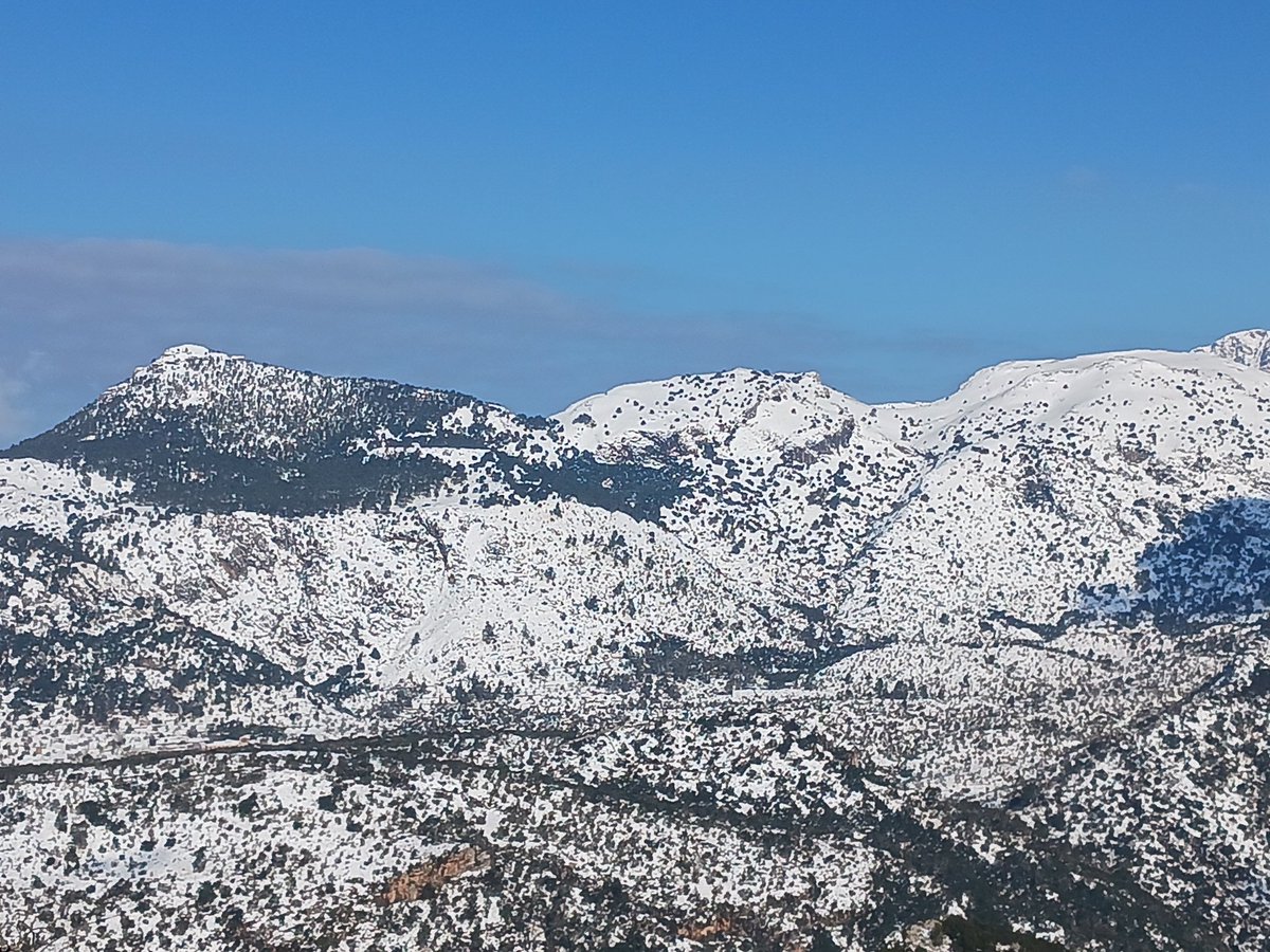 MiquelSalamanca's tweet photo. Puig Major. Lofra, na Franquesa i sa Rateta. Puig de sa Font i Tossals Verds. Puig de ses Bassetes i de Maçanella. El bessó de la Serra de Tramuntana vist des del Castell d'Alaró. https://t.co/mWRpEeRnxA