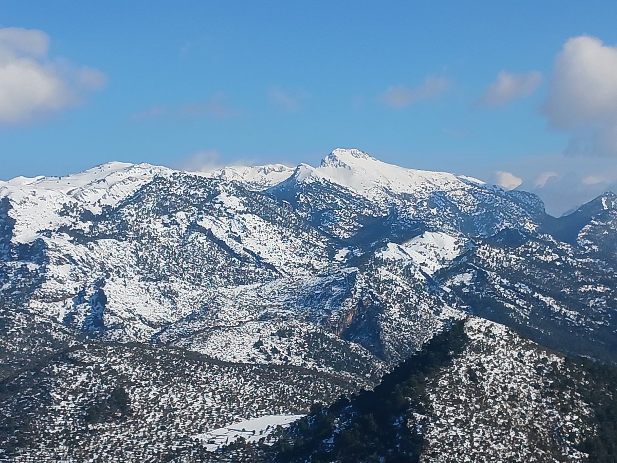 Puig Major. Lofra, na Franquesa i sa Rateta. Puig de sa Font i Tossals Verds. Puig de ses Bassetes i de Maçanella. El bessó de la Serra de Tramuntana vist des del Castell d'Alaró.