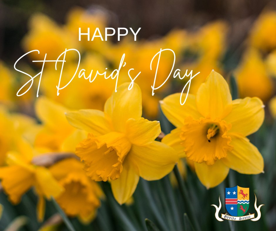 Thrapston Town Council tweet media