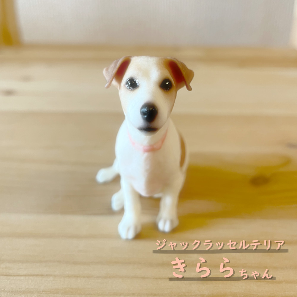 3dpetshop's tweet photo. #ジャックラッセルテリア きららちゃん。ぬいぐるみのような可愛さ！！
#3DPETSHOP
#JackRussellTerrier
#愛犬 #犬 #dog
#ペットフィギュア #petfigure
#フィギュア #3dfigure #figure
#3dプリンター #3dprinter
#3dcg #design
#pet #ペット
#犬好き
#ilovedog 
#犬好きさんと繋がりたい https://t.co/QDG9x1WXUy