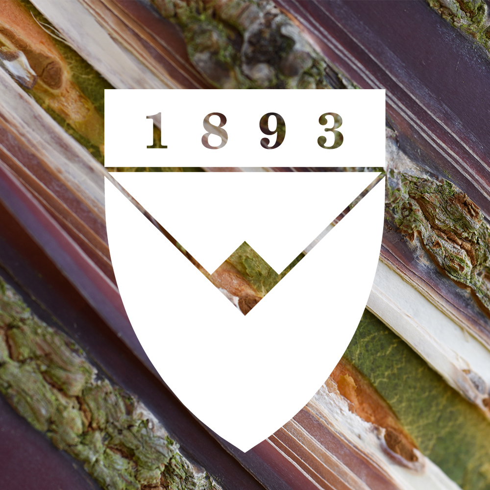 New month new profile pic, which this time comes from BA (Hons) Art and the Environment student Kayley Passingham.

#Writtle #Art #Environment #Abstract #Design #Photography