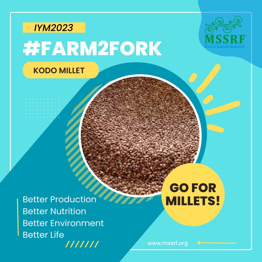 mssrf's tweet photo. #KodoMillet has different names in local #Indian #languages:
Varagu #Tamil
Kodua #Oriya
Arikelu #Telugu
Kodra #Marathi #Punjabi
Koovaragu #Malayalam
Kodra #Hindi
#Benefits of eating #Millets cannot be ignored!
Just #GO4Millets!
#MSSRF_IYM2023 #IYM2023 https://t.co/4dfvDnf9Kc