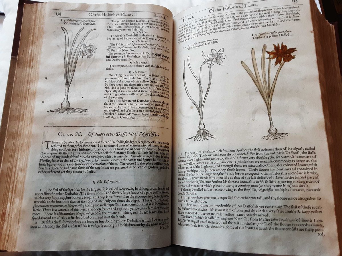 St Davids Cathedral Library /Llyfrgell y Gadeirlan tweet media