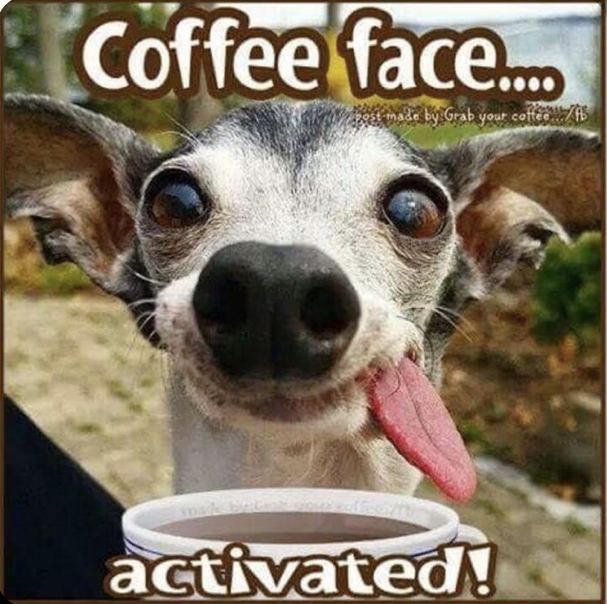 schmoozequeen's tweet photo. #CoffeeFace #JavaJetFuel ☕️ https://t.co/laQyHTfq51