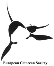Rugvin's tweet photo. Ga je naar de European Cetacean Conference in O Grove, Spanje? Geef je dan op voor onze Whale Poo workshop https://t.co/Mt2pXsI1Ef https://t.co/82rJM7lt6X