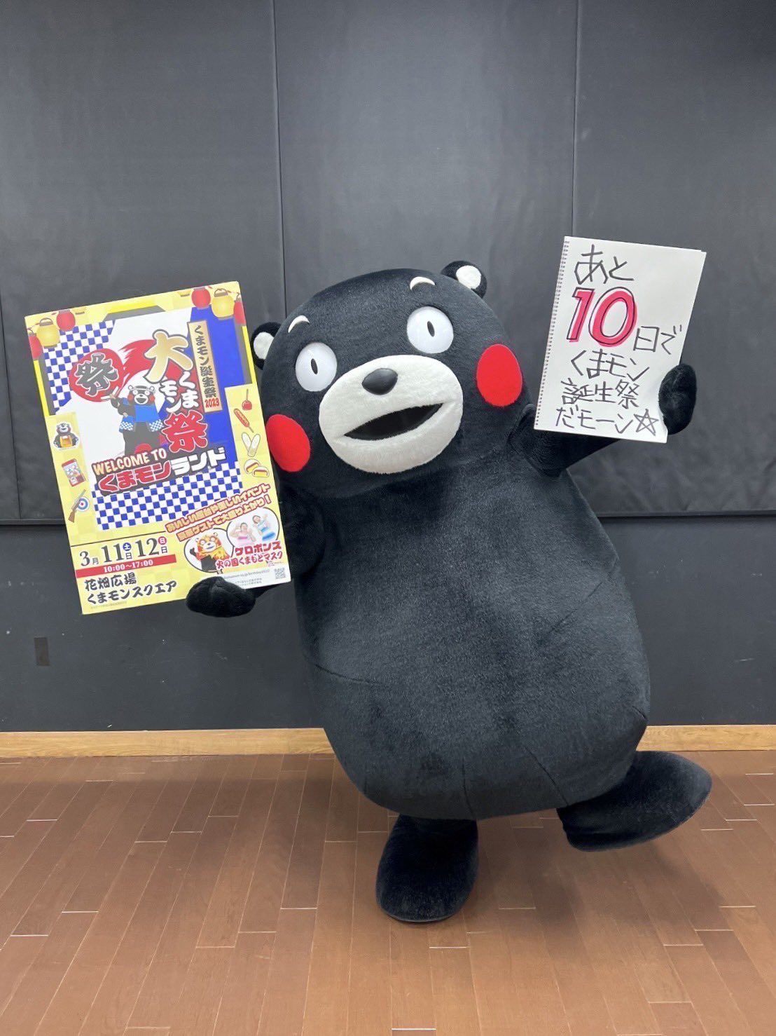 くまモン 誕生 – くまモン誕生祭 2023 – ZQCO