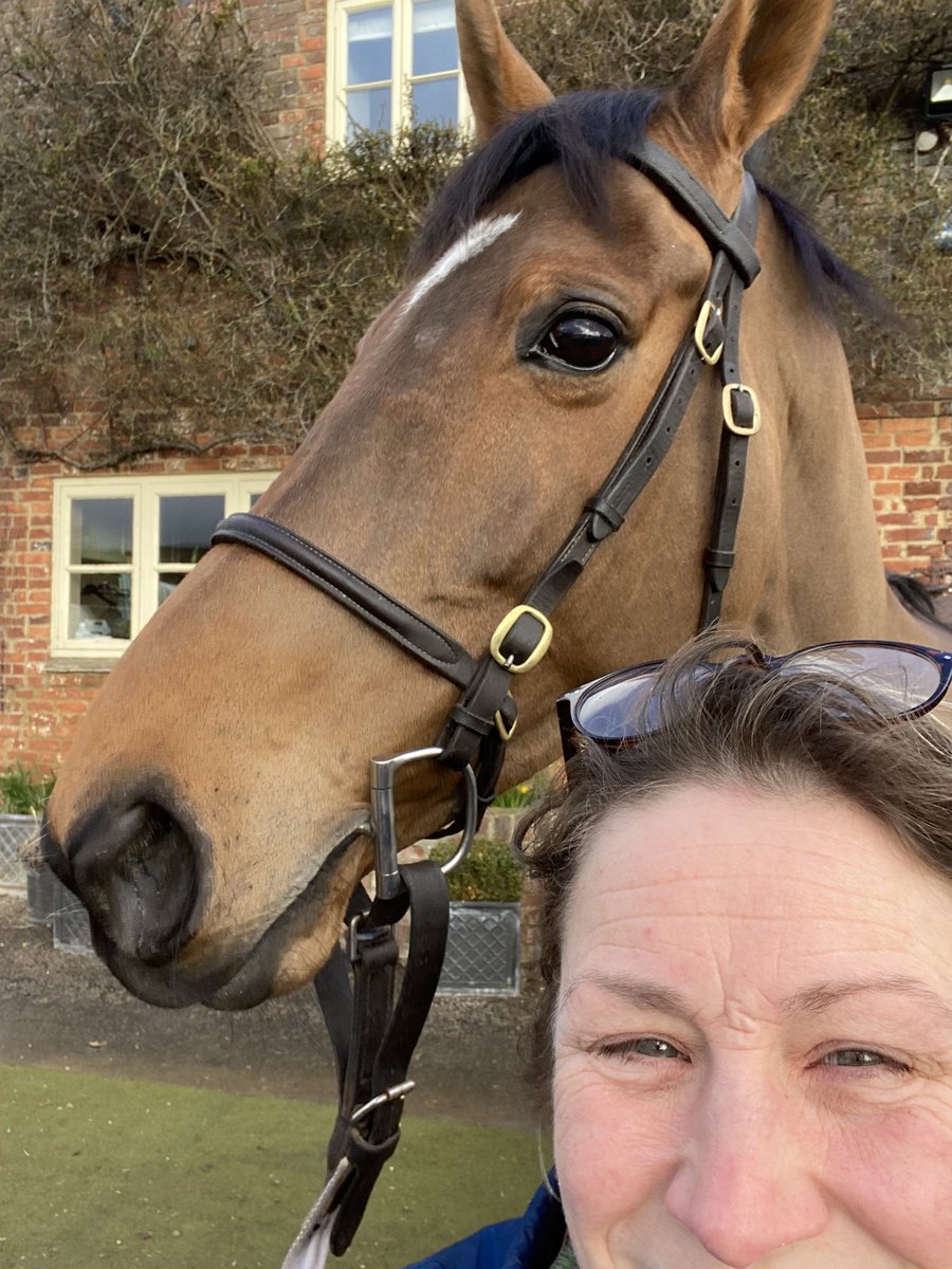 TaniaStill's tweet photo. Been on a road trip @PWebberRacing to see #indefatigable and to @OverburySires to see #goldenhorn my selfies are getting better! https://t.co/jwoSQpGv4n