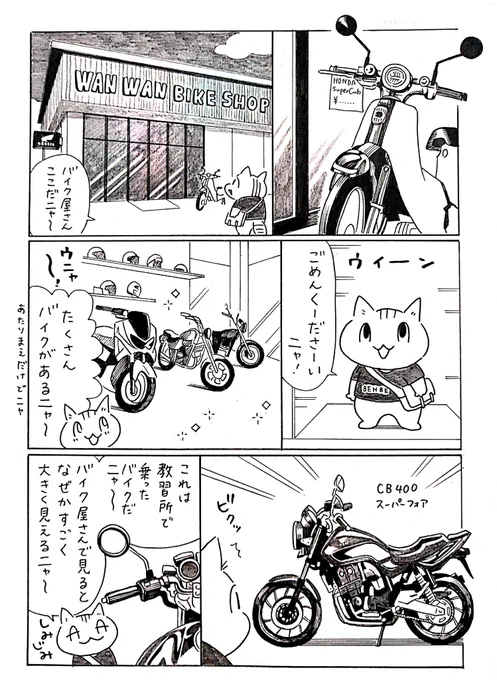 猫がバイクに出会う漫画「ネコ☆ライダー」第5話。ワクワクドキドキのバイク購入編に突入。ニャン太は素敵なバイクに出会えるかニャ…#ネコライダー #漫画 #バイク #猫 #SR400 #YAMAHAが美しい 
